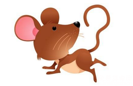 不怕沒錢花！2026農曆新年「掉進錢堆里」的六大生肖，工作事業順順利利