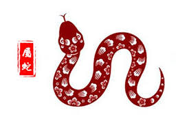 不怕沒錢花！2026農曆新年「掉進錢堆里」的六大生肖，工作事業順順利利