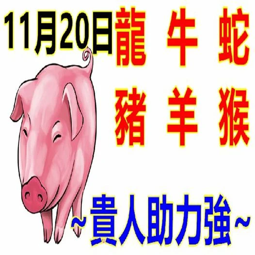 11月20日生肖運勢_龍、牛、蛇大吉