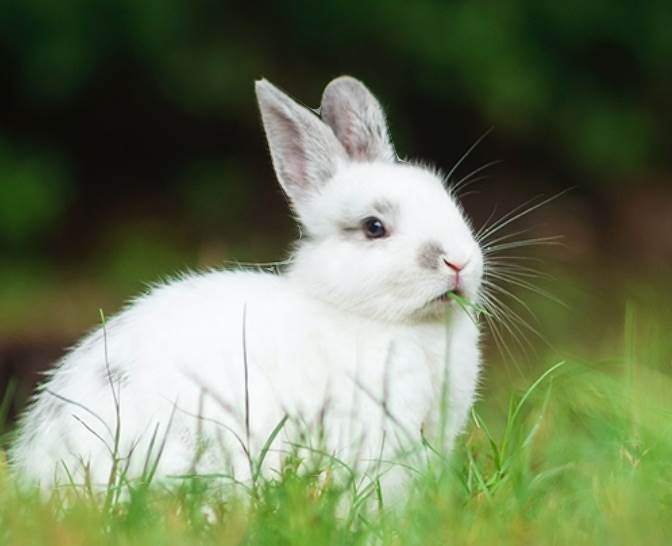 家有這3生肖，1月下旬「扭轉乾坤」， 事業有前途，一順到底