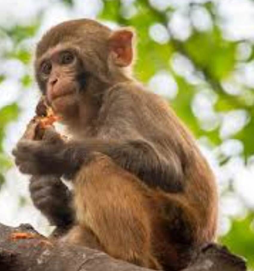 家有這3生肖，1月下旬「扭轉乾坤」， 事業有前途，一順到底