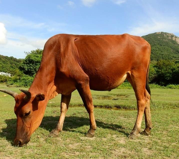 家有這3生肖，1月下旬「扭轉乾坤」， 事業有前途，一順到底