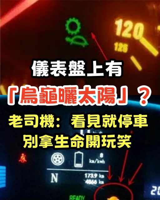 儀表盤上有「烏龜曬太陽」？老司機：看見就停車，別拿生命開玩笑