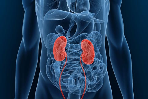 尿毒癥的人越來越多，再三勸告：四種食物盡量少吃，腎會感激你