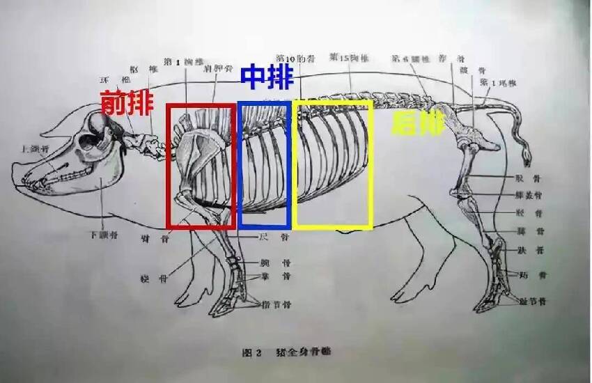 排骨哪裏最好？弄懂了，少花冤枉錢