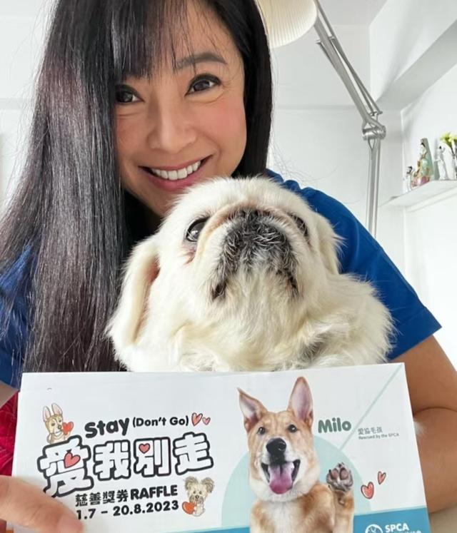 感情坎坷！54歲前TVB女星兩度豪門夢碎，今仍單身與愛犬相依為伴