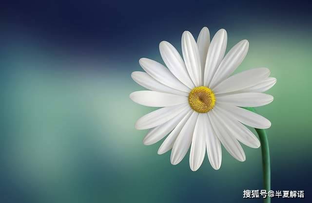 岳父母陪嫁一套婚房,結婚才一個月,女婿就鬧離婚,直言岳母騙婚