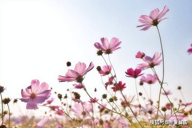 岳父母陪嫁一套婚房,結婚才一個月,女婿就鬧離婚,直言岳母騙婚