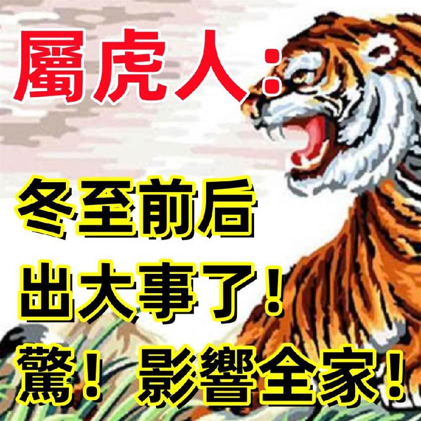 生肖屬虎人：冬至前後出大事了！驚！影響全家！