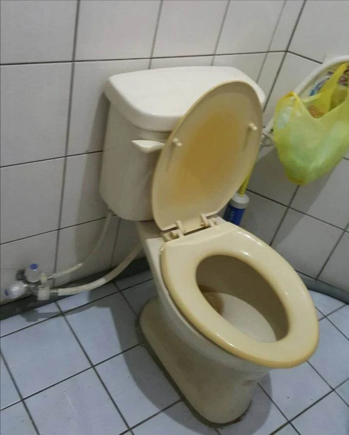 越來越多人廁所不裝馬桶了，如今流行這樣裝修衛生間，真太聰明了❗️