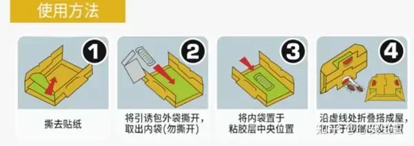 夏天蟑螂多不要慌，只要一把大蒜，來多少滅多少，比殺蟲劑還管用