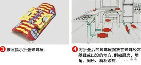 夏天蟑螂多不要慌，只要一把大蒜，來多少滅多少，比殺蟲劑還管用