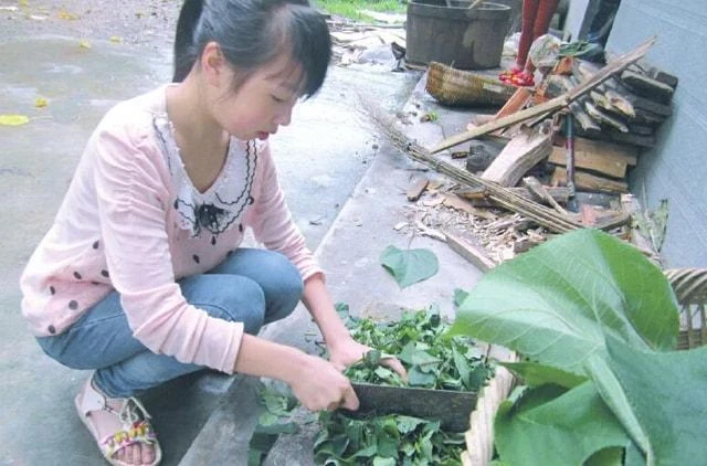 女兒走丟妻子苦尋多年，18年後兒子參加同學婚禮，看到新娘愣住了