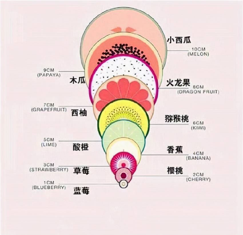 自然產「開十指」到底多大？一張水果圖看清「女子本弱，為母則剛」　網全共鳴：當媽不容易