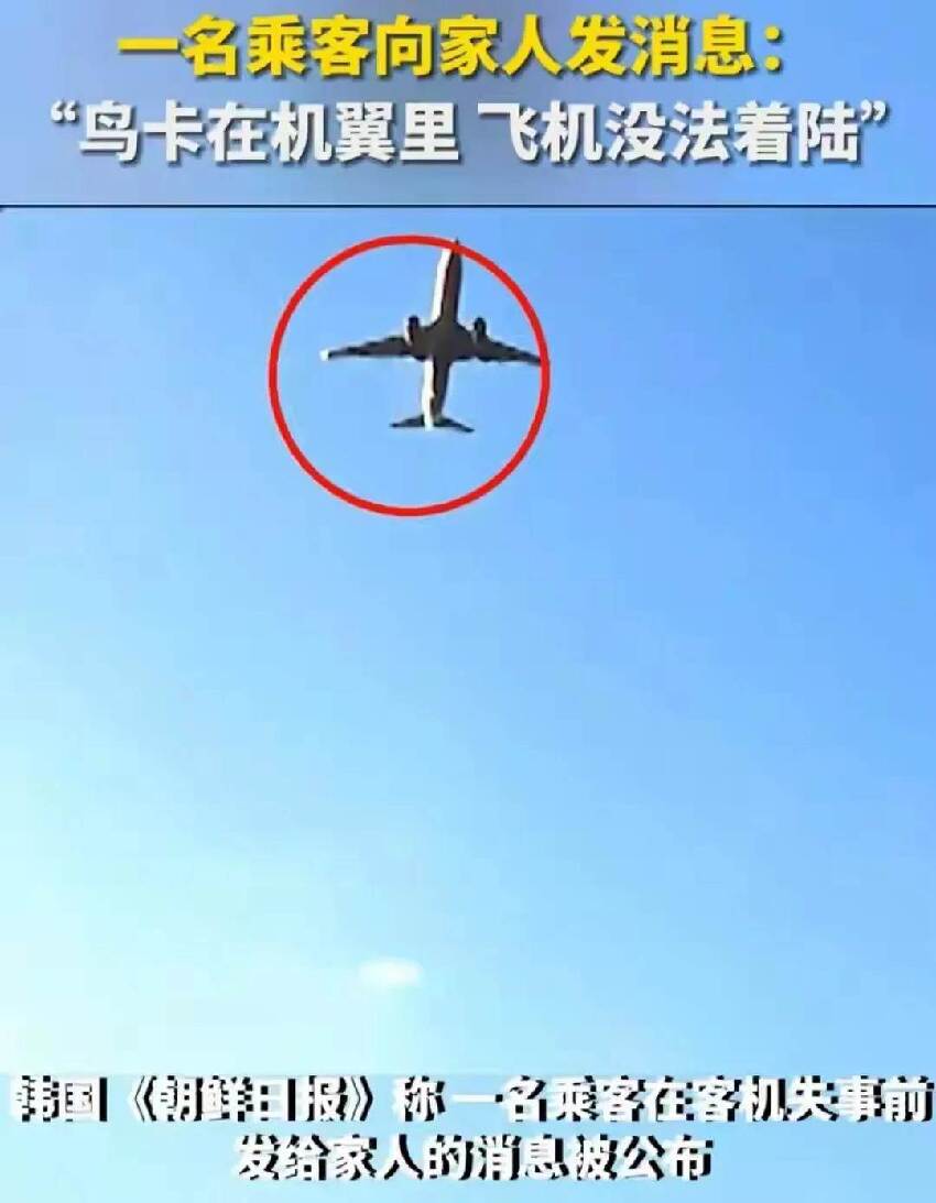 韓國空難不是鳥的原因，「人為因素」也很大，韓國大媽目睹墜毀全過程