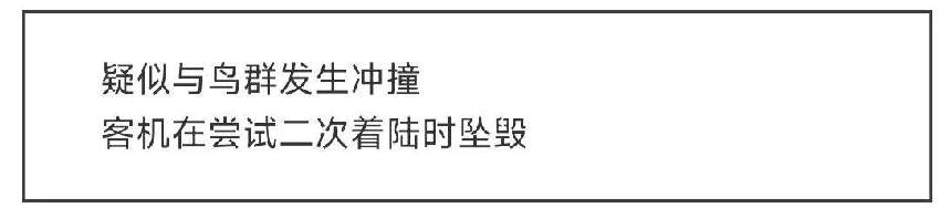 韓國空難不是鳥的原因，「人為因素」也很大，韓國大媽目睹墜毀全過程