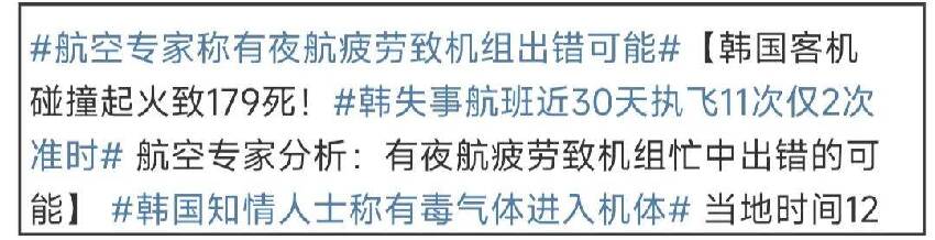 韓國空難不是鳥的原因，「人為因素」也很大，韓國大媽目睹墜毀全過程