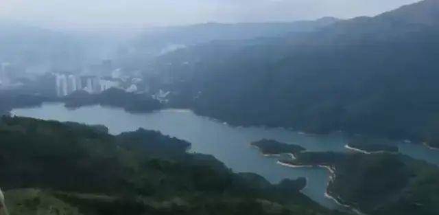 她是王晶的「美女助理」，為鬼片選景離奇失蹤，托夢稱被3人沉湖，警方調查后，驚出一身冷汗！