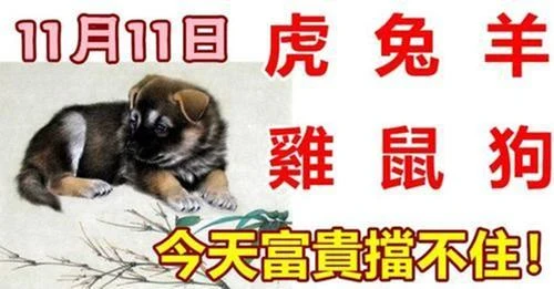 11月11日生肖運勢_虎、兔、羊大吉