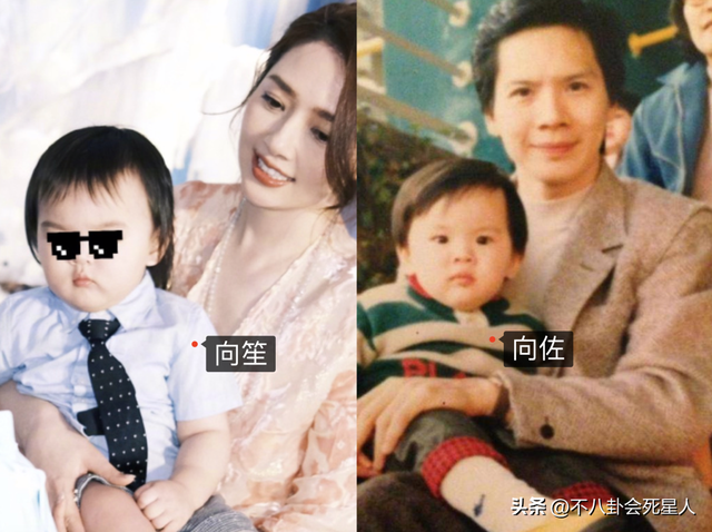 郭碧婷3歲女兒：幫媽媽獲獎12億，長得不像爸，向家繼承人之一