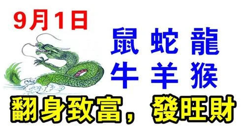 9月1日生肖運勢_鼠、蛇、龍大吉