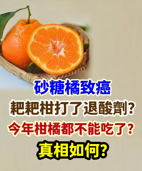 砂糖橘致癌、耙耙柑打了退酸劑？今年柑橘都不能吃了？真相如何？