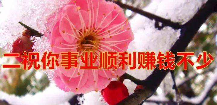 今天「小雪」今天收到的人，請打開！會好運！