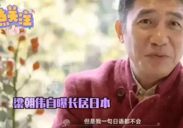 「夫妻本是同林鳥」，但抱歉，這一次劉嘉玲也救不了梁朝偉了！