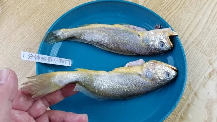 解凍魚，千萬不要用水泡，教你一招，5分鐘解凍跟活魚一樣新鮮