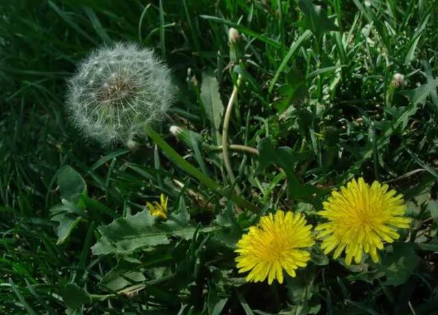 宮頸癌多是「拖」出來的，女人下半身若有4處異常，趁早就醫！