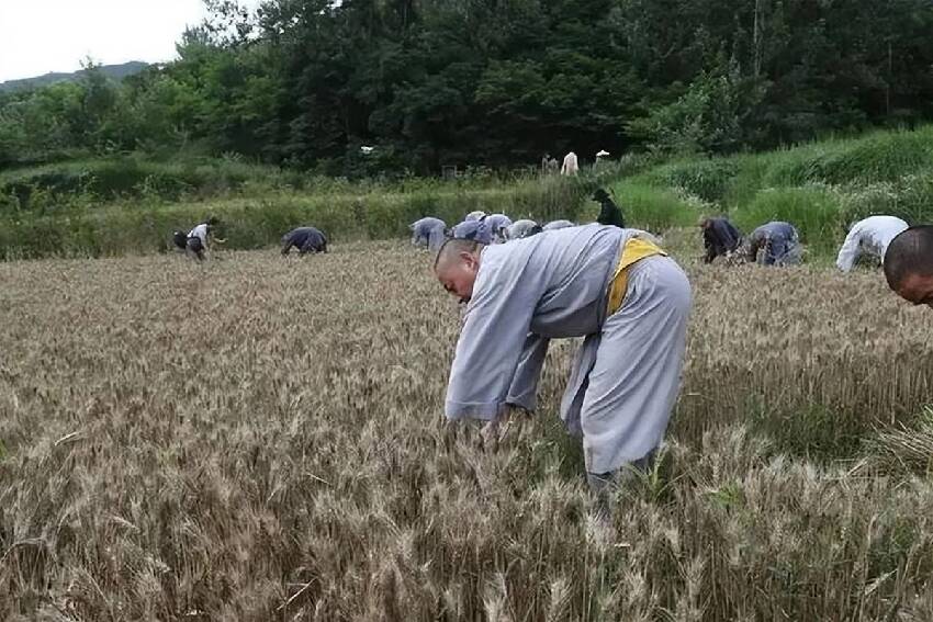 「天收人，有暗示」！老天若要帶人離開 會降下「4種徵兆」千萬要警惕