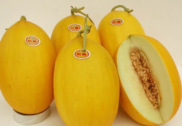 4月5日清明節特別注意！掃墓「這4種水果」千萬別帶！否則不僅沒有功德，還可能得罪祖先