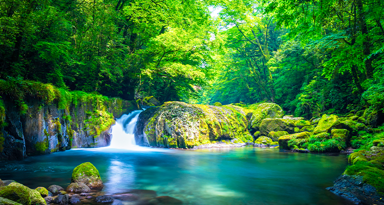 女兒死後父親無法接受,就在棺材里「裝了個攝像頭」第兩天他驚訝地看到了一幕...