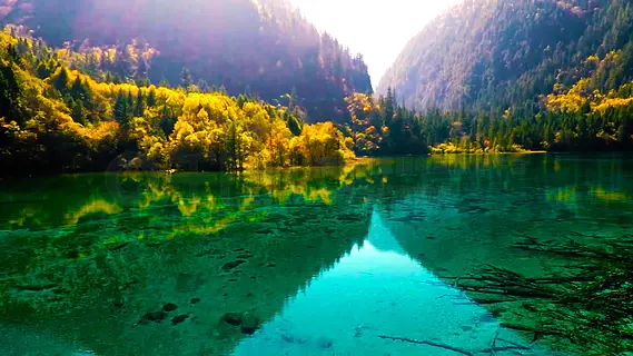 女兒死後父親無法接受,就在棺材里「裝了個攝像頭」第兩天他驚訝地看到了一幕...