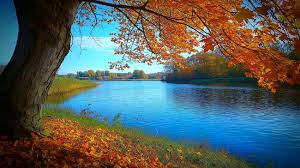 女兒死後父親無法接受,就在棺材里「裝了個攝像頭」第兩天他驚訝地看到了一幕...