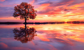 女兒死後父親無法接受,就在棺材里「裝了個攝像頭」第兩天他驚訝地看到了一幕...