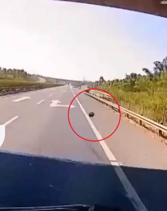 高雄36歲貨車司機，在高速公路上憑空消失，20年後真相讓眾人不寒而慄...