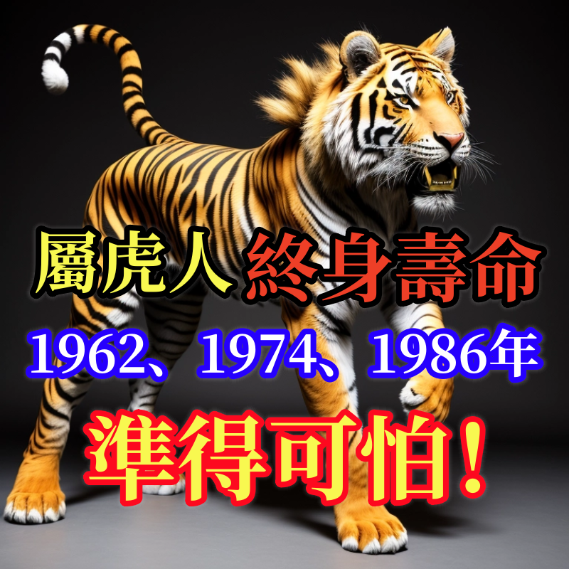 屬虎人的終身壽命：1962、1974、1986年，準得可怕！