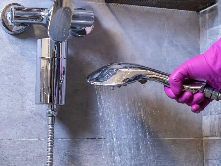 專家警告：蓮蓬頭比馬桶還髒！多久該洗、如何清潔？啤酒除水垢方法一次看