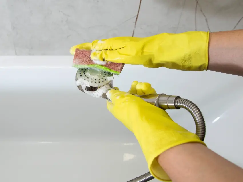 專家警告：蓮蓬頭比馬桶還髒！多久該洗、如何清潔？啤酒除水垢方法一次看