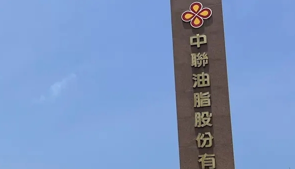 挺蔣萬安！陶晶瑩「做這件事」遭出征
