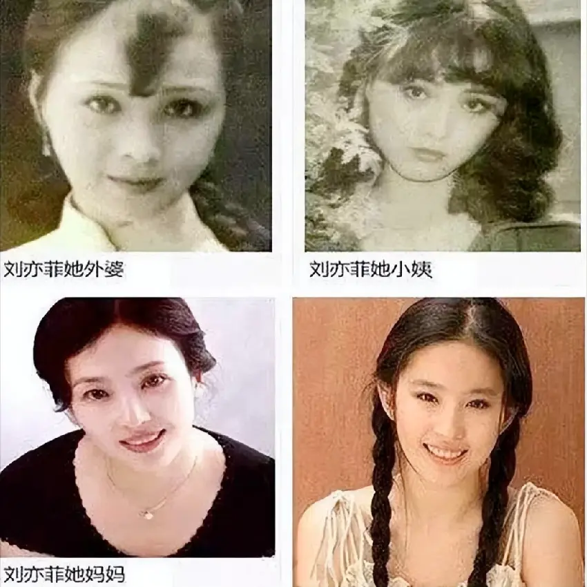 劉亦菲的媽媽劉曉莉：兩婚兩離，64歲仍單身，長得比女兒還美10倍
