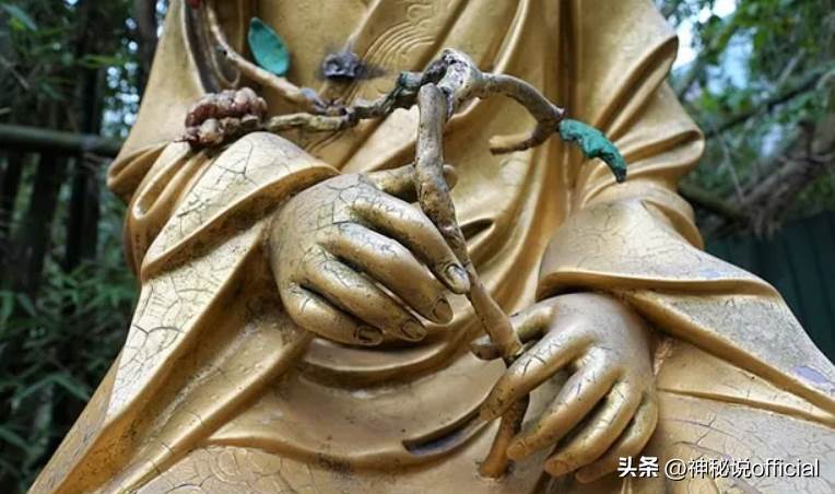 84歲尼姑絕食7天圓寂！生前交代把肉身放入坐缸，3年後開缸「眾人驚呆了」...