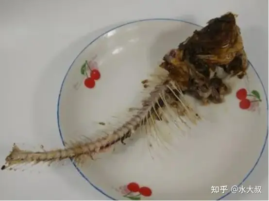 魚刺卡嗓子裡，千萬別喝醋吞米飯，簡單一招魚刺自己「跑出來」！