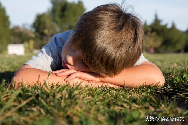 孩子太懶怎麼辦？用「馬蠅效應」讓孩子自動自發不是夢！