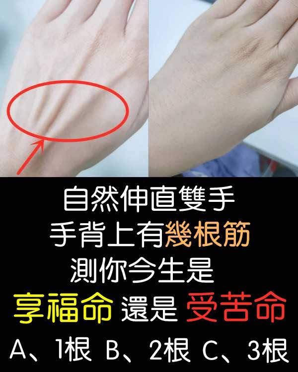 自然伸直雙手，手背上有幾根筋？測你今生是享福命還是勞碌命！