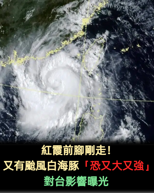 紅霞前腳剛走！預測又有颱風白海豚「恐又大又強」對台影響曝光