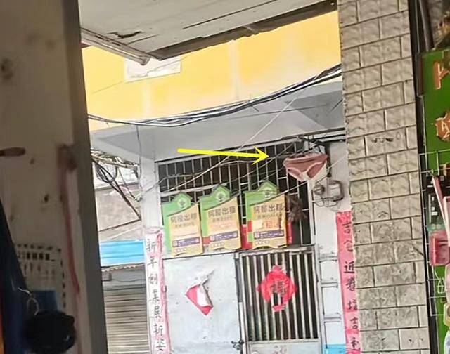 福建一女子把內褲掛門口，店老闆覺得膈應扔掉，她拿內褲過來晃悠