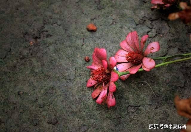 妻子的婚前房子要過戶給親女兒，誰料二婚丈夫卻不同意：我還有兒子呢