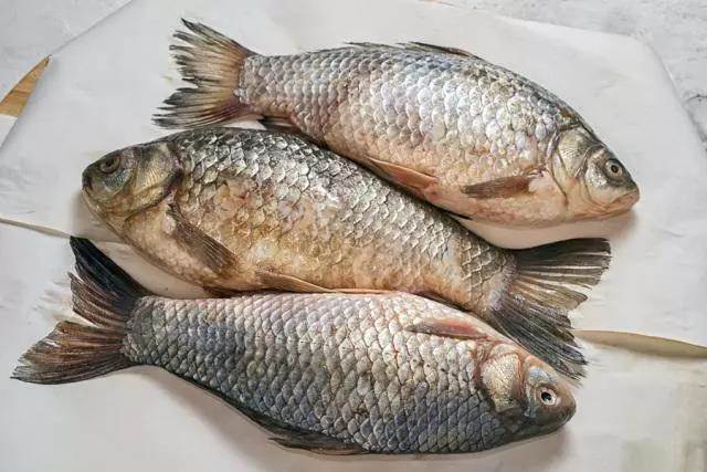 含寄生蟲最多的三種魚，水產商自己都不吃，很多人並不知道，還經常買來吃